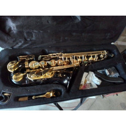 SAXOPHONE LADE USA