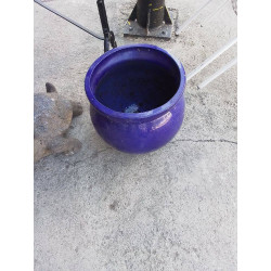 POT