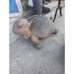 TORTUE GM