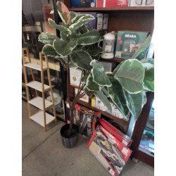 PLANTE ARTIFICIELLE 