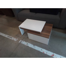 TABLE BASSE MODERNE 